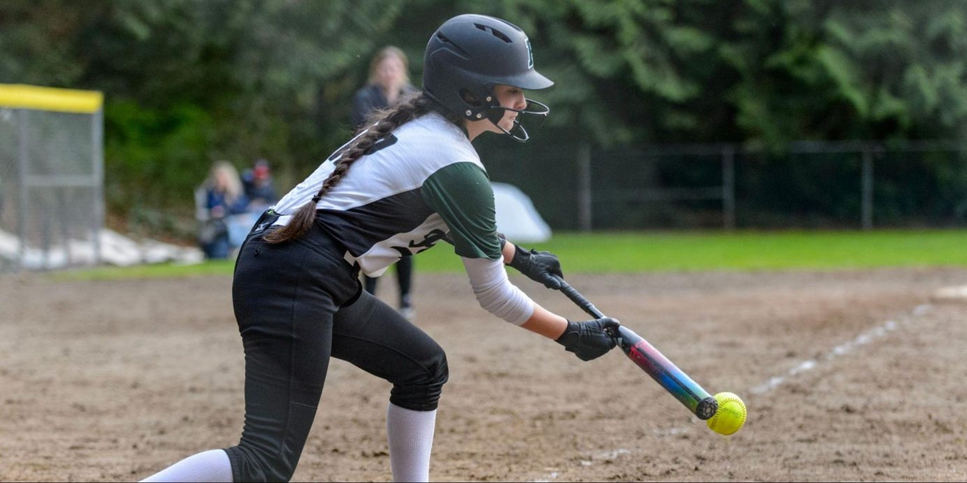 Press Do Aluminum Bats Break? Why and How Does This Happen