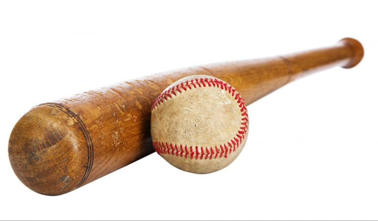 Pinetar Press What Happens When A Baseball Bat Dies 
